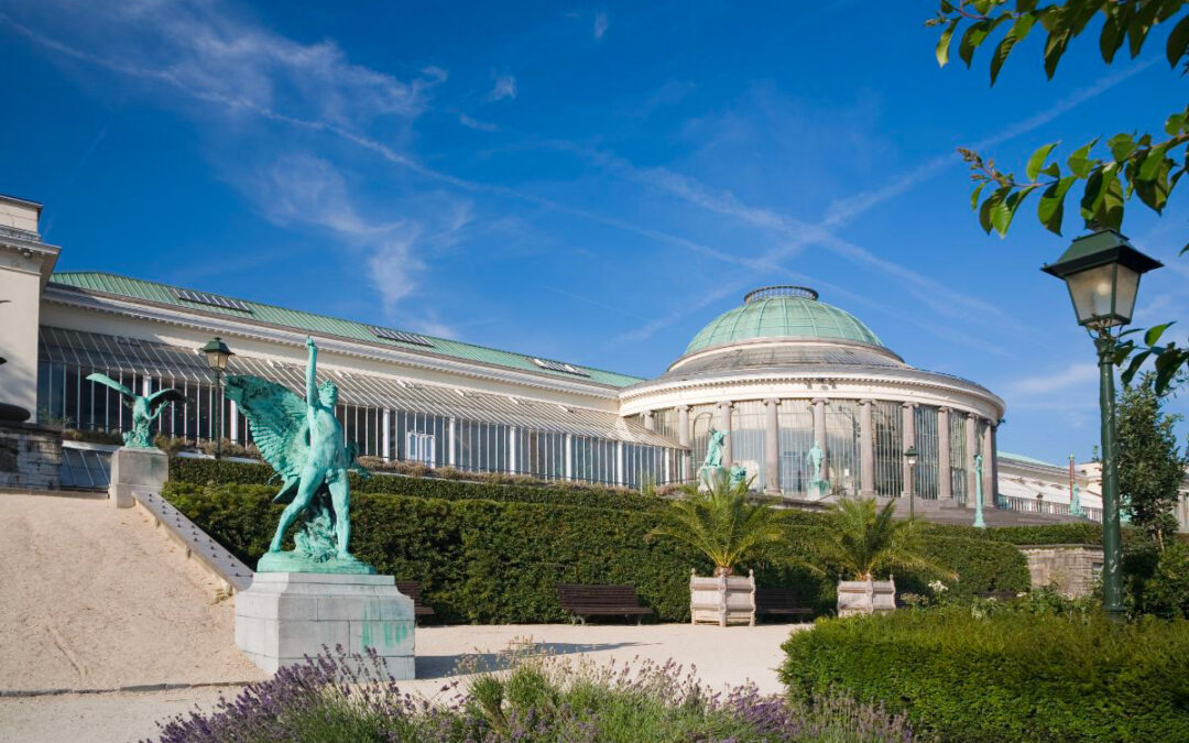 Les jardins botanique de Bruxelles.